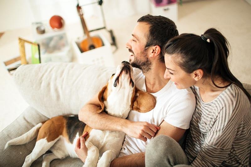 A family with their dog A family with their dog