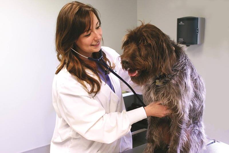 A doctor with their patient A doctor with their patient