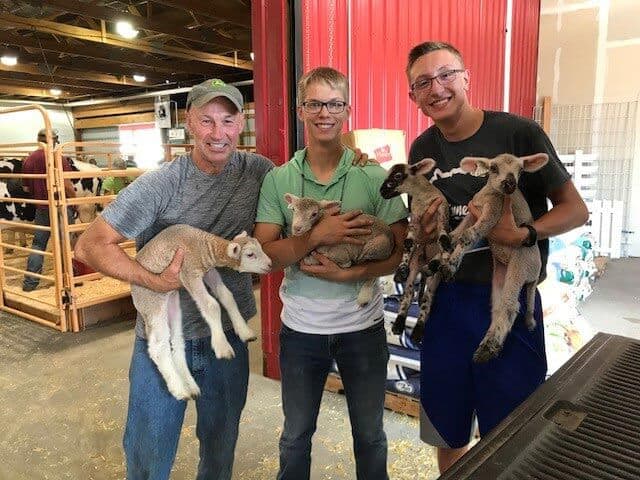 Public Education and Animal Health