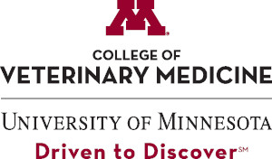 U of M
