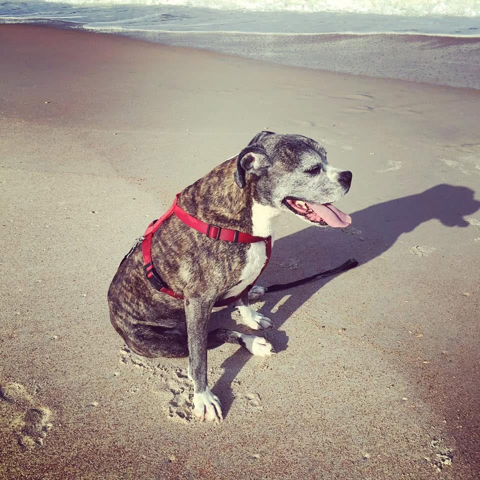 Oscar